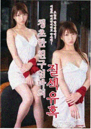 暮港纪事剧集封面